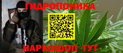 метадон Гай