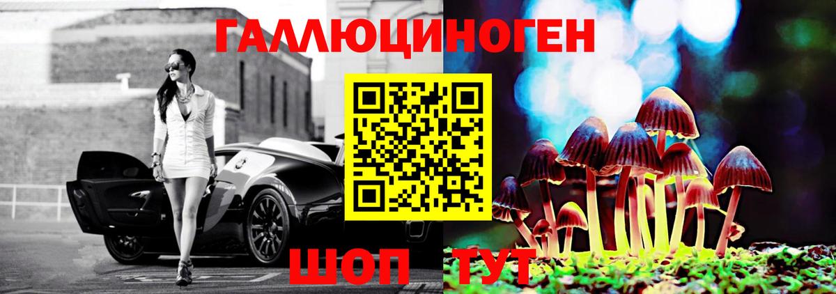 где найти   Вход с VPN  Надым  Галлюциногенные грибы MAGIC MUSHROOMS 